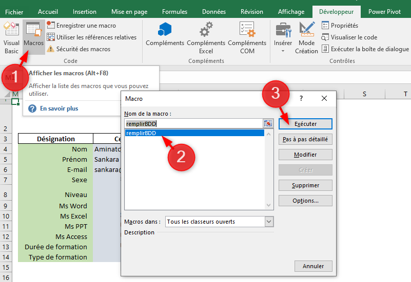 Excel, Exécuter une macro.