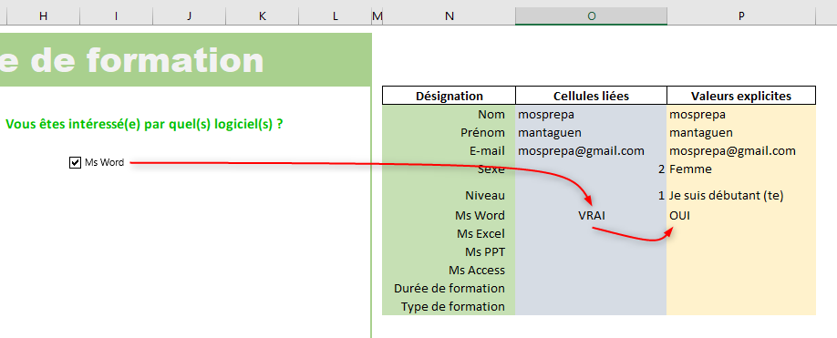 Excel, Cases à cocher pour exprimer son intérêt.