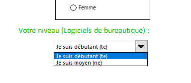 Excel, Liste déroulante pour définir le nivau du candidat(e).