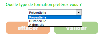 Excel, Liste déroulante pour choisir le type de formation préféré.