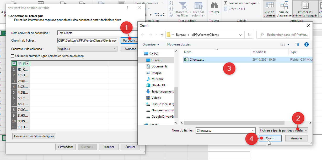 Excel, les Tableaux croisés dynamiques et Power Pivot