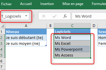 Excel, Tableau des logiciels.